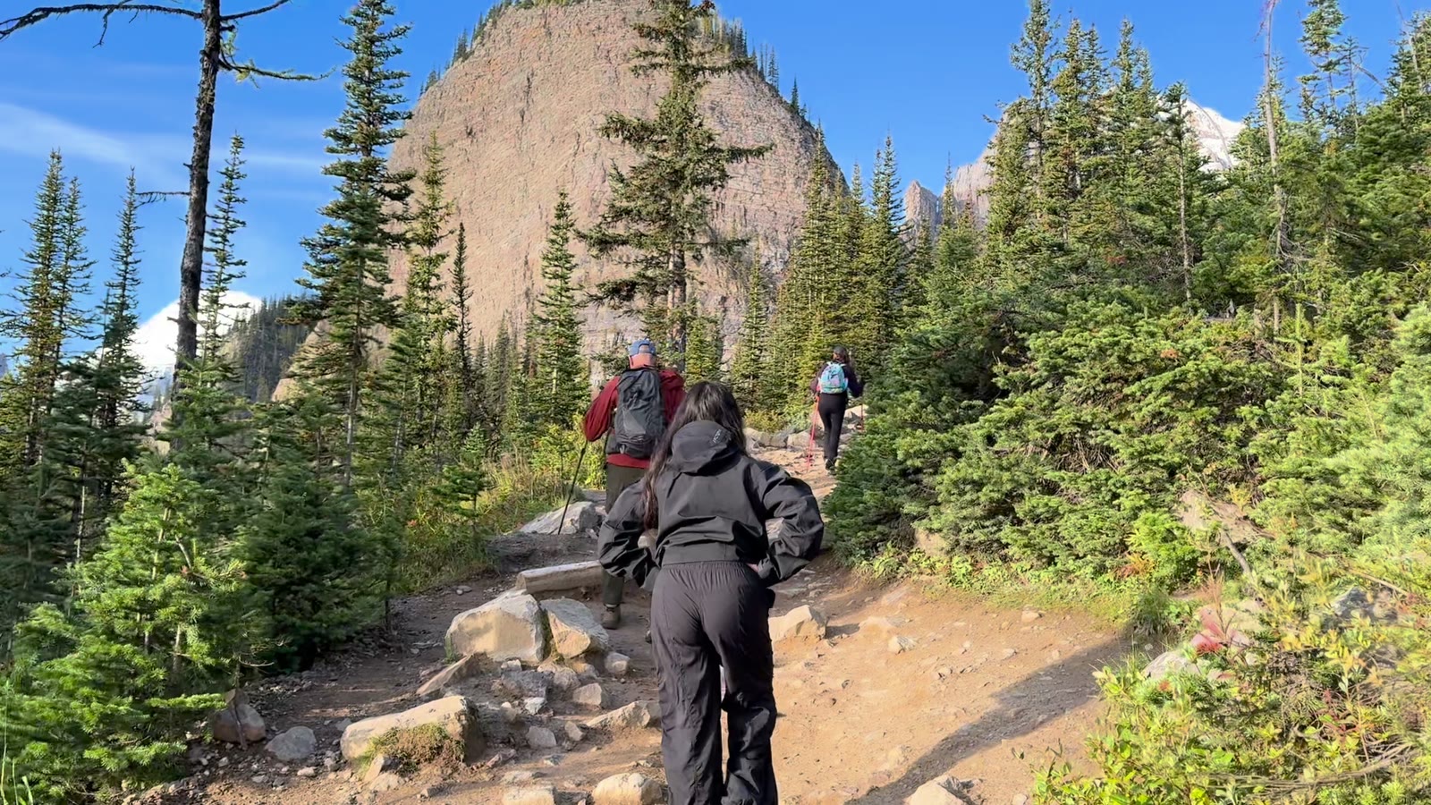 Three hikers seen from behind, climbing a rocky dirt trail through pines toward a rounded rock peak