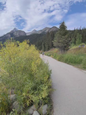A paved path past tall shrubs toward rocky peaks, with a few walkers far ahead